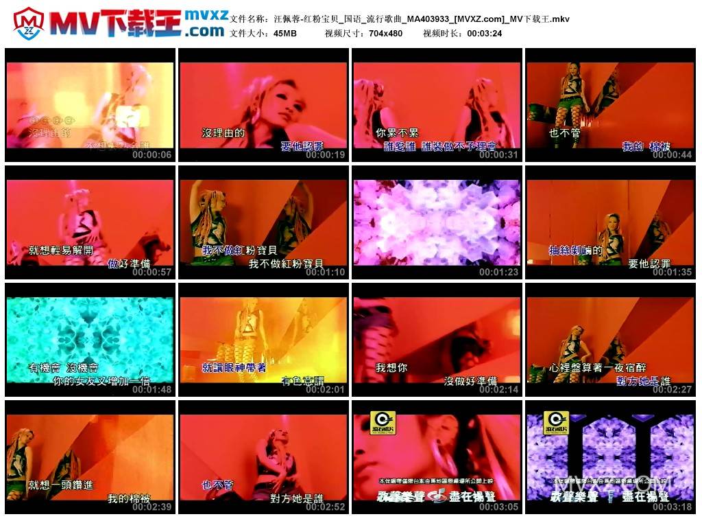 汪佩蓉-红粉宝贝_国语_流行歌曲_MA403933